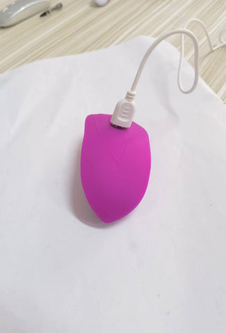 Wholesale prices Women wearable APP wireless remote control vibrator Vagina G Spot Clit Stimulator Vibrating Egg