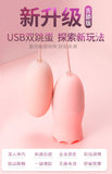 女性 G スポット乳首膣クリトリス刺激装置吸盤舐め USB 振動卵